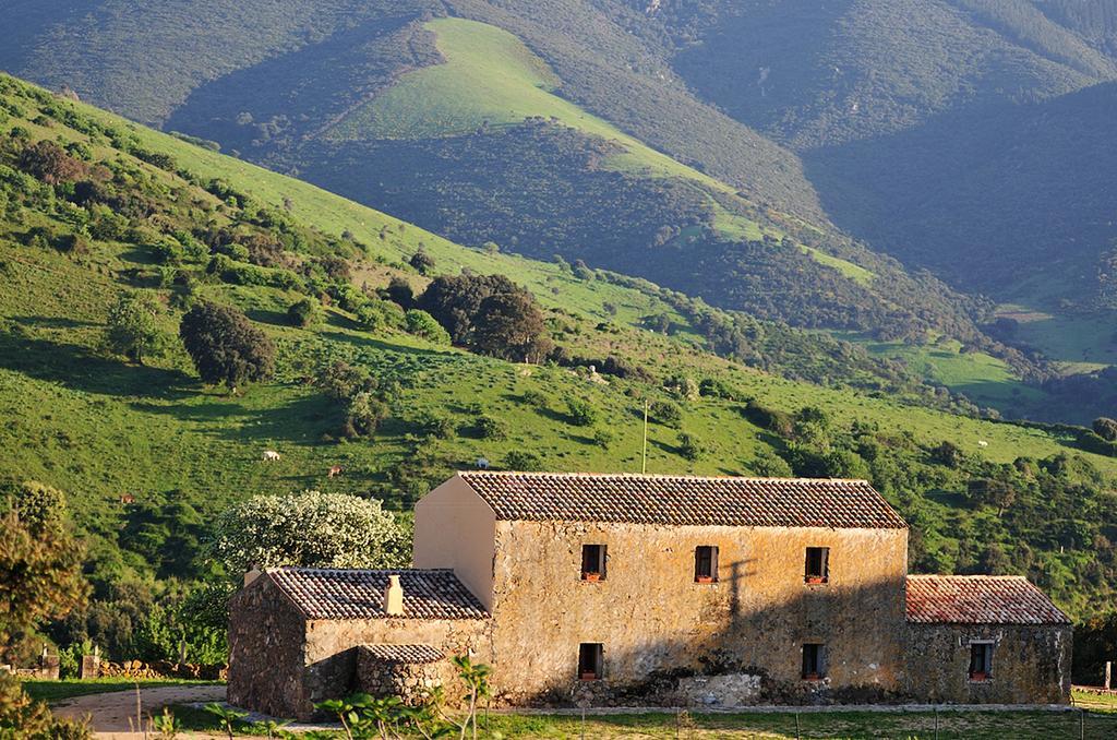 Stazzu Coiga Villa Aggius Bagian luar foto