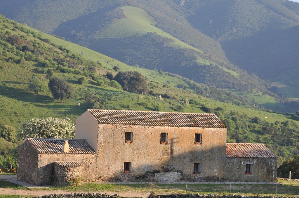 Stazzu Coiga Villa Aggius Bagian luar foto